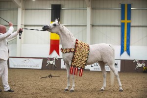 Al_Muawdstud_2015-Aug-31ص