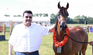 Screenshot-2015-08-04-23.55.42