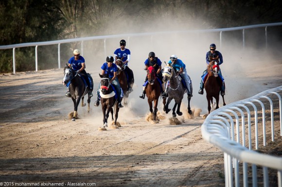 ماراثون الأصيل للخيل العربية الأصيلة