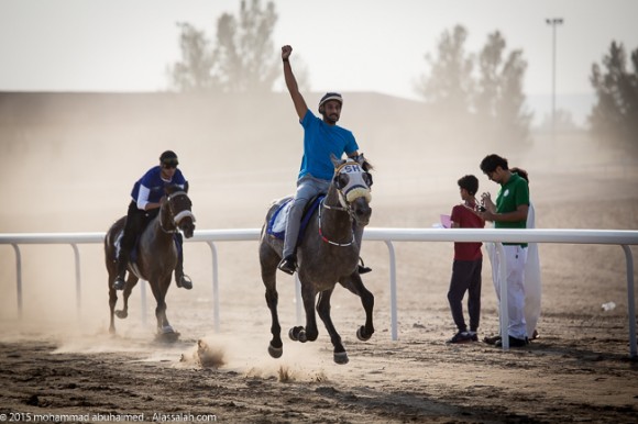 ماراثون الأصيل للخيل العربية الأصيلة