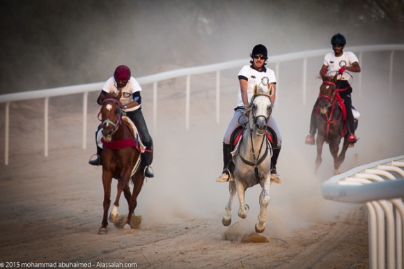 ماراثون الأصيل للخيل العربية الأصيلة
