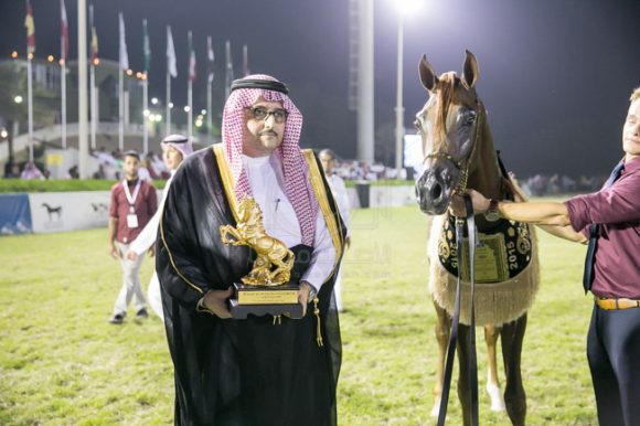 10الصواري مكة المكرم جدة -