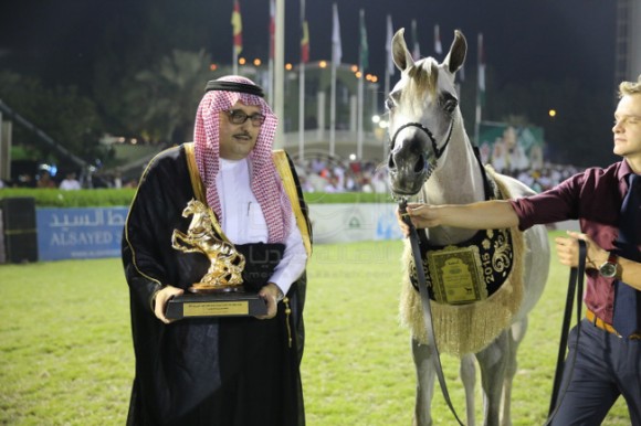 20الصواري مكة المكرم جدة -