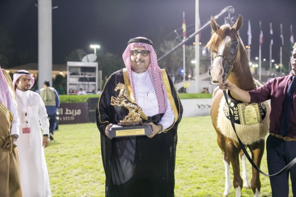 30الصواري مكة المكرم جدة -