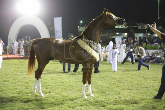 37الصواري مكة المكرم جدة -