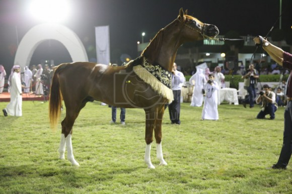 38الصواري مكة المكرم جدة -