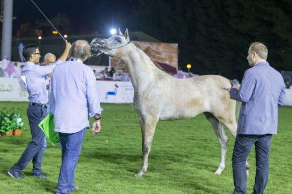 بطولة مكة الدولية  جدة - الصواري