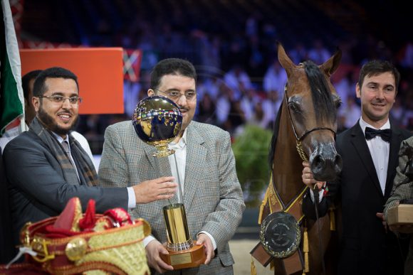 REWAYAH ATHBAH رواية عذبه (EKS ALIHANDRO x FEDORA RG) – Athbah Stud – KSA
