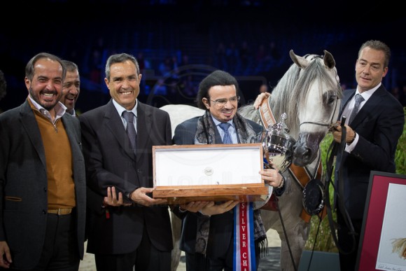 BINT HAZY AL KHALEDIAH  (KAHIL AL SHAQAB x PUSTYNA MALWA) – STADNINA KONI MICHALOW – PL
