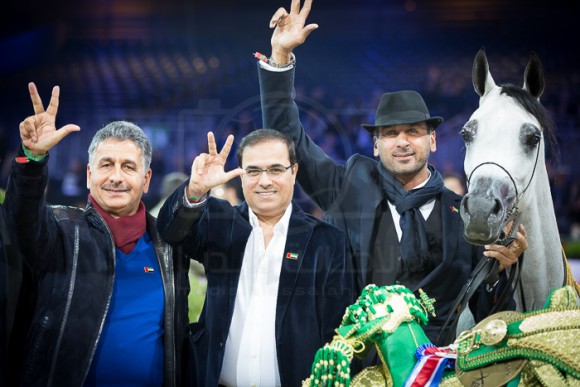 MOZN AL BIDAYER مزن البداير (S.M.A. MAGIC ONE x MATTAHARII) – Al Bidayer Stud – UEA