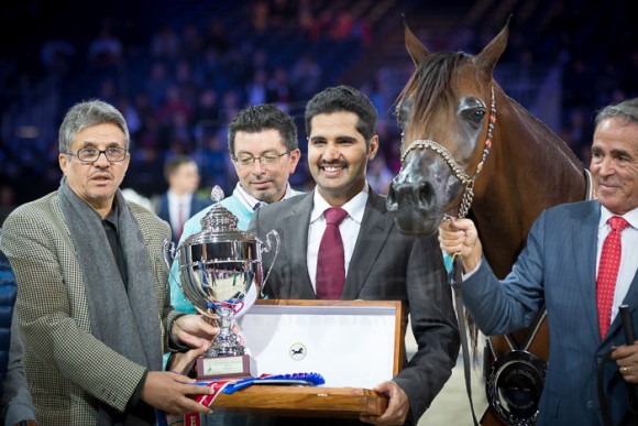 SALWA AL ZOBAIR  سلوى االزبير ( MARAJJ x ESKLAWA) – Al Zobair Stud – AE