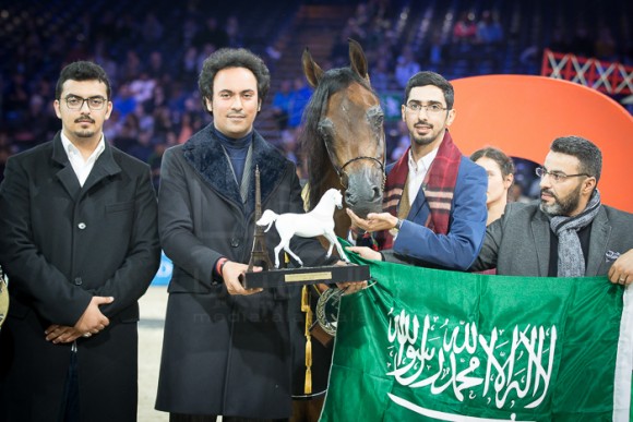 USTYNA KAHILA (KAHIL AL SHAQAB x PUSTYNA MALWA) – STADNINA KONI MICHALOW – PL
