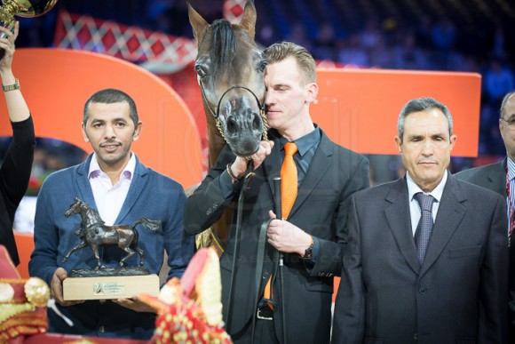 LUIGI  لويجي (KANZ ALBIDAYER x LOLITA) – Al Shahannyah Stud – QA