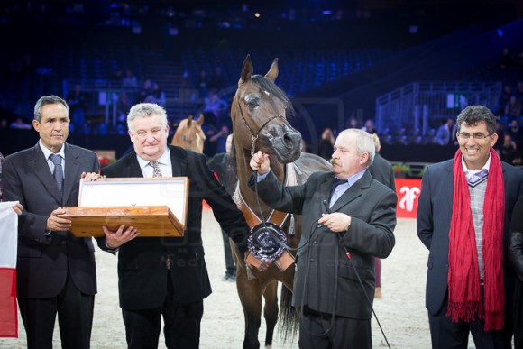 EQUATOR (QR MARC x EKLIPTYKA) – Stadnina Koni Michalow