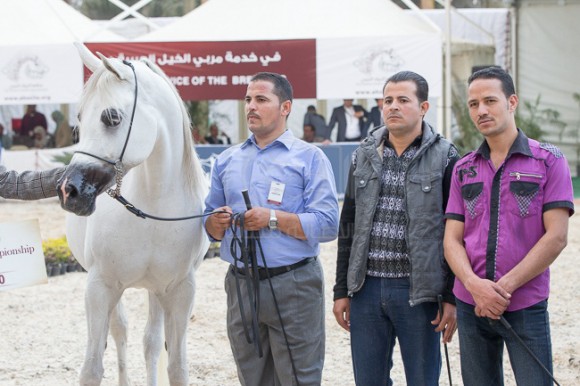 13بطولة المربين مصر -