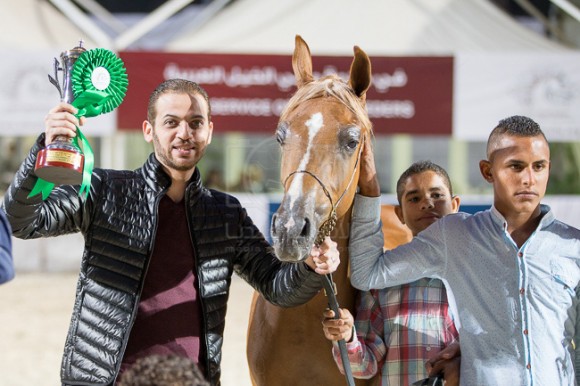 28بطولة المربين مصر -