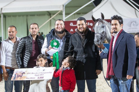 40بطولة المربين مصر -