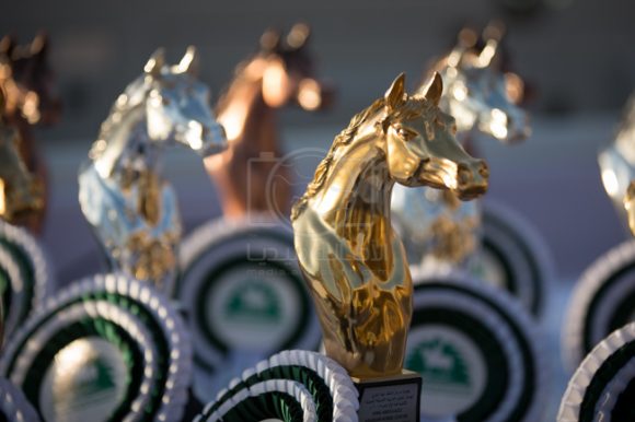 بطولة مركز الملك عبدالعزيز ديراب