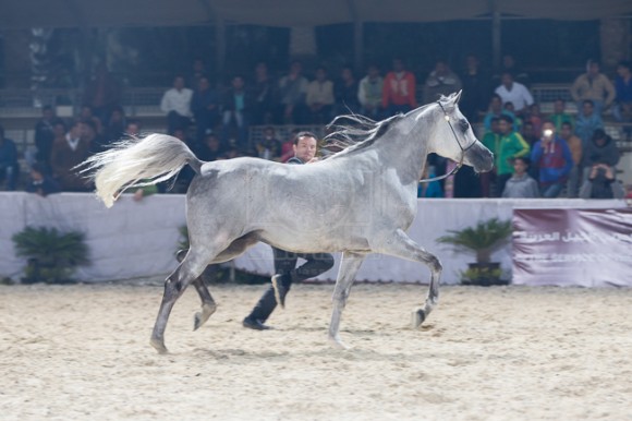 البطل الفضي