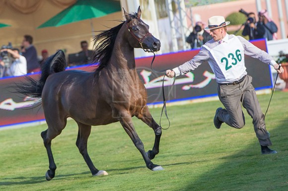 بطولة مركز الملك عبدالعزيز 001A4003 copy