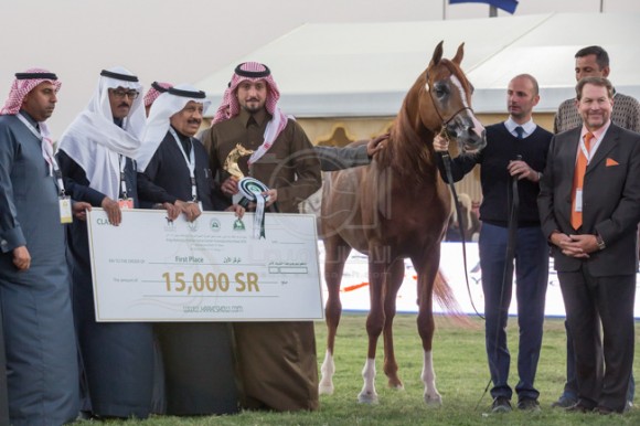 بطولة مركز الملك عبدالعزيز 001A9087