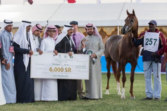 بطولة مركز الملك عبدالعزيز 001A9096