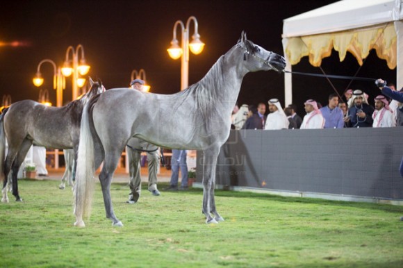 بطولة مركز الملك عبدالعزيز 001A9300