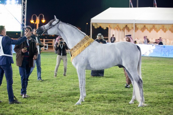 بطولة مركز الملك عبدالعزيز 001A9640