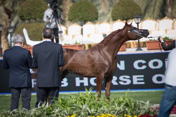 بطولة مركز الملك عبدالعزيز SSS_1467