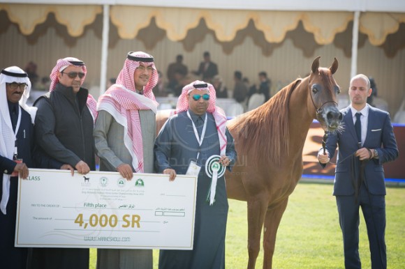 بطولة مركز الملك عبدالعزيز SSS_1501