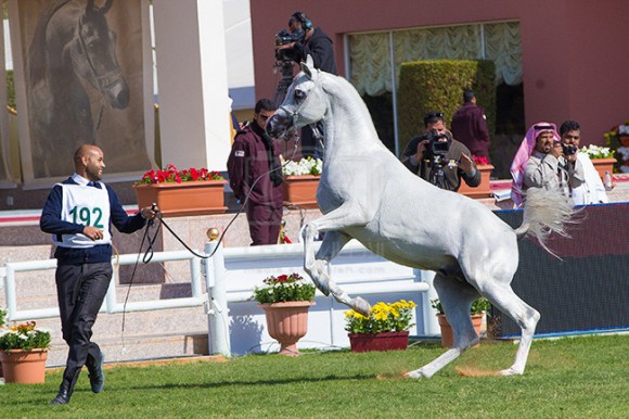 بطولة مركز الملك عبدالعزيز ٢١