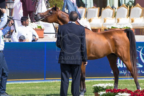 بطولة مركز الملك عبدالعزيز ٢٣