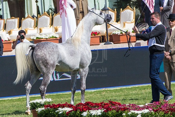 بطولة مركز الملك عبدالعزيز ٣٠