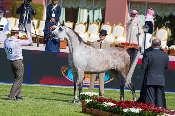 بطولة مركز الملك عبدالعزيز ٣٨