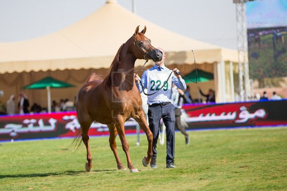 بطولة مركز الملك عبدالعزيز ٤٠