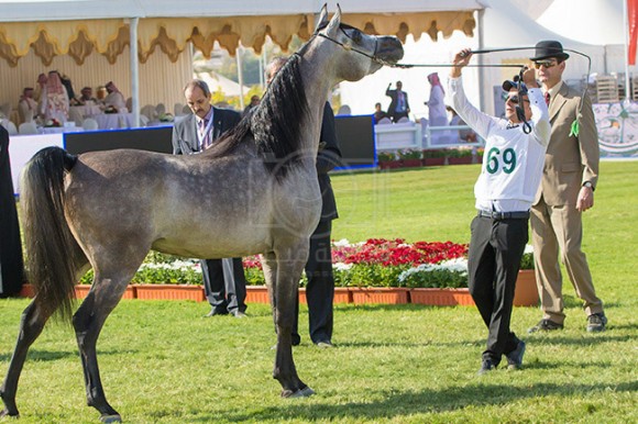بطولة مركز الملك عبدالعزيز ٦