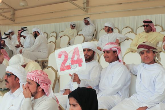 عجمان ٢٠١٦MHF_8720