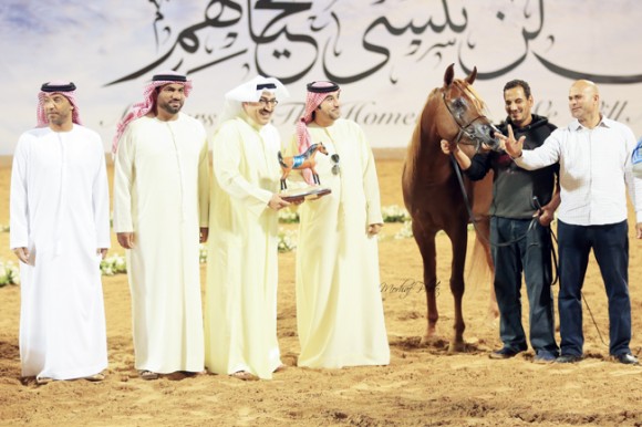 عجمان ٢٠١٦MHF_9836