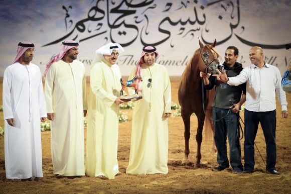 عجمان ٢٠١٦MHF_9841