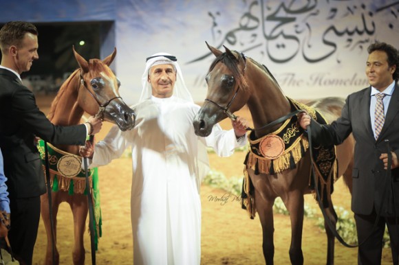 عجمان ٢٠١٦MHF_9985