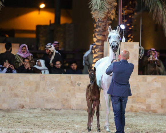 ميلاد ٢٠١٦MOE_3578