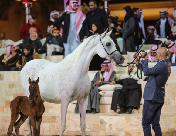 ميلاد ٢٠١٦MOE_3585