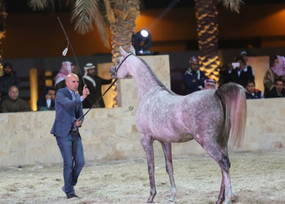 ميلاد ٢٠١٦MOE_3695