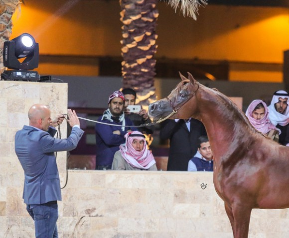 ميلاد ٢٠١٦MOE_3747