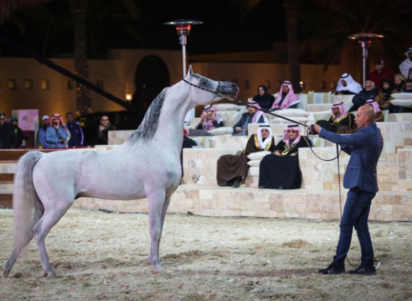 ميلاد ٢٠١٦MOE_3801