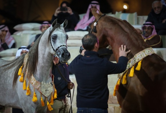 ميلاد ٢٠١٦MOE_3854