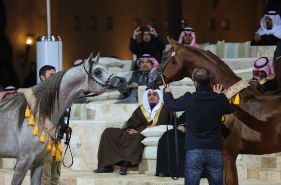 ميلاد ٢٠١٦MOE_3864