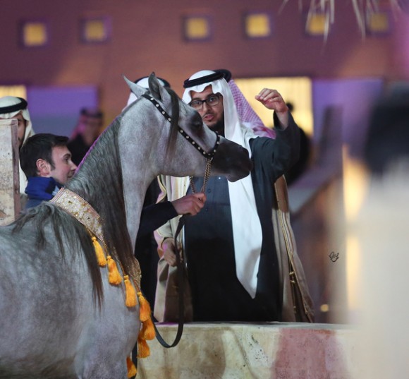 ميلاد ٢٠١٦MOE_3886