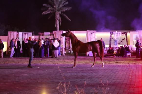 ميلاد ٢٠١٦MOE_4060