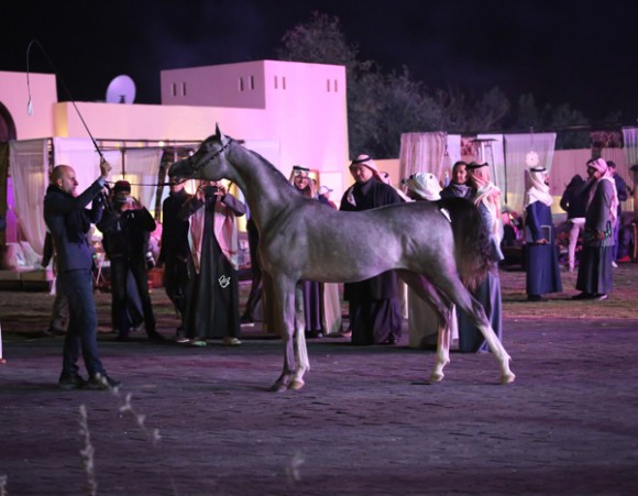 ميلاد ٢٠١٦MOE_4072